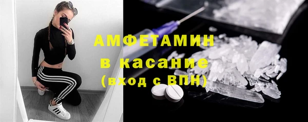 ПСИЛОЦИБИНОВЫЕ ГРИБЫ Инта