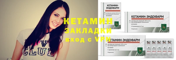 ПСИЛОЦИБИНОВЫЕ ГРИБЫ Инта