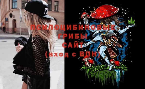 гидропоника Каменка