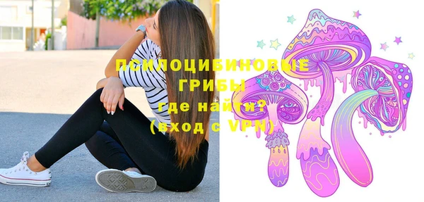 молекула духа Каменск-Шахтинский
