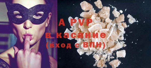 ПСИЛОЦИБИНОВЫЕ ГРИБЫ Инта