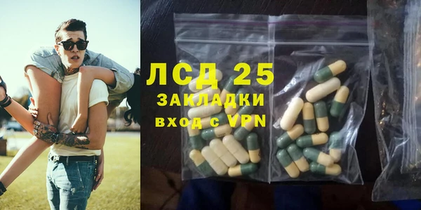 ПСИЛОЦИБИНОВЫЕ ГРИБЫ Инта