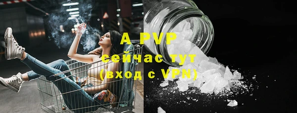 ешки Иннополис